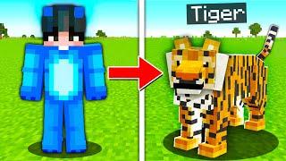 I Pranked My Friend as a Tiger in Minecraft!