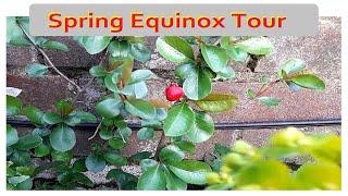 The Spring Equinox Tour - #gardening