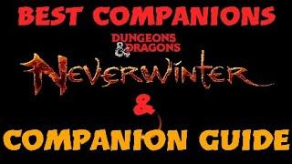 Neverwinter Best Companions & Companion Guide 2020 (Bolster and Runestones Included)