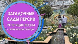 Выставка - Репетиция весны "Загадочные сады Персии" в Аптекарском огороде