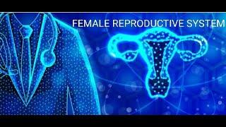 FEMALE REPRODUCTION SYSTEM