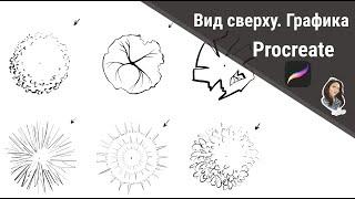 Рисуем вид сверху в Procreate. Скетч план ландшафта кустов и деревьев