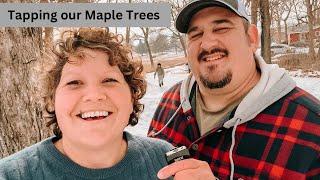 Tapping Our Maple Trees