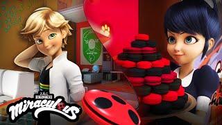 MIRACULOUS  Kompilation 21  GANZE FOLGE ▶️[LILA GIBT NICHT AUF - FILMPREMIERE - BAKERIX] STAFFEL 3