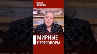 Лучший итог начала мирных переговоров #невзоров