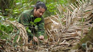 How to Set Survival Traps, Cook with Natural Foods: River Survival | EP.442