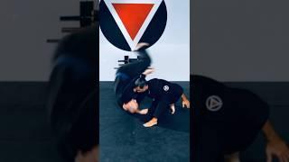 Aikido Martial Fusion Training Drill