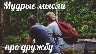 ЦИТАТЫ ПРО ДРУЖБУ. Мудрые мысли, афоризмы, изречения про друзей