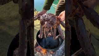 Plunging King crab into the boiling depths  #kingcrab #asmr #firekitchen