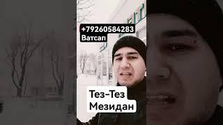 Тез-Тез Мезидан Ширкати_Шиффо_Фармо