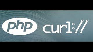 PHP cURL basic example