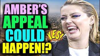 Amber Heard's Appeal Can Work Say Legal Experts!?
