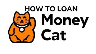 PAANO MAG AVAIL NG LOAN SA MONEY CAT