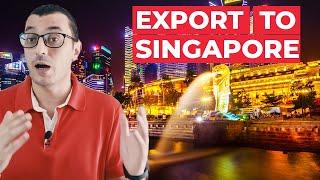 HOW TO START AN IMPORT EXPORT BUSINESS IN SINGAPORE | Export to SINGAPORE