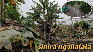 DISASTER ANG MGA INIWANAN AT TINANGAY NG ILOG SA BUKID