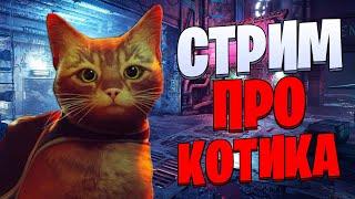 ЛУЧШАЯ ИГРА 2022? - Обзор Игры Stray. Игра про котика!