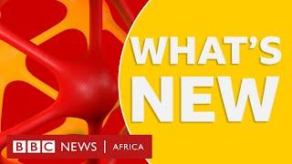 BBC Africa: How did the conflict between Ethiopia & Eritrea begin plus more stories - BBC What's New