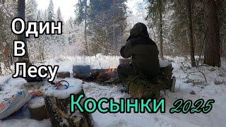 ВОТ ЭТО ДА. ПО 4 ШТУКИ В КОСЫНКУ. СНОВА ЗАРЯДИЛ КОЛОКОЛЬЧИКИ. ОДИН В ЛЕСУ.