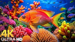 The Best 4K Aquarium - Dive Into The Mesmerizing Underwater Realm, Sea Jellyfish, Coral Reefs #10