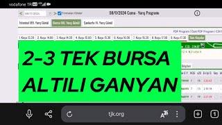 8 Kasım 2024 Cuma Bursa at yarışı tahminleri Bursa altılı ganyan tahminleri Oğulcan Karaca