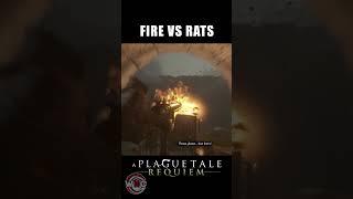 FIRE vs RATS - A Plague Tale: Requiem ►Gameplay walkthrough no commentary #shorts