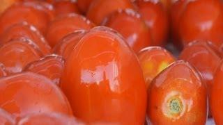 Unilever presenta al ministro Arias Cañete su proyecto para el cultivo sostenible de tomate