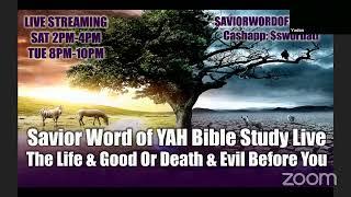 The Life & Good Or Death & Evil Before You - Savior Word of YAH Shabbat Study Live