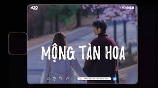 Mộng Tàn Hoa (Lofi) - Thiên Tú x H2O | Cành hồng đã úa giấc mơ cũng dần tan