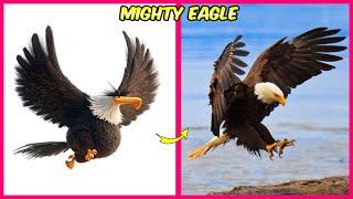 The Angry Birds Movie 2 and 1  Real Life