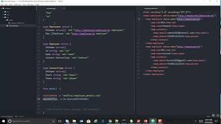 Golang Xml Parsing | Reading XML Elements and Looping | Time 2 Code - Golang