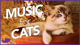 Magic Music for Cats - UNBELIEVABLE Results (Tested 2022)