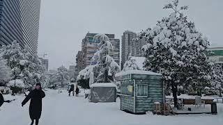 Georgia sepolta dalla neve