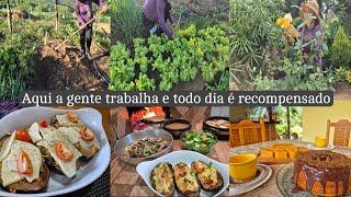 Cuidados na horta e no jardim  | bolotone | berinjela recheada| requeijão e almoço do dia