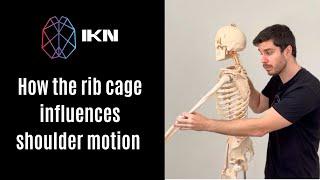 How The Rib Cage Influences Shoulder Motion