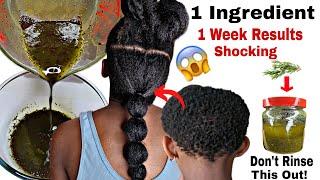 Your Hair Will Never Stop Growing After You Use This Oil|Grow Your Hair  Long & Thick with Rosemary