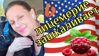 Big Big Family in the USA /Лицемерие зашкаливает /Обзор /Жизнь в Америке /США Vlog