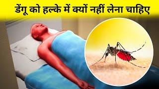 How Dengue Works ?