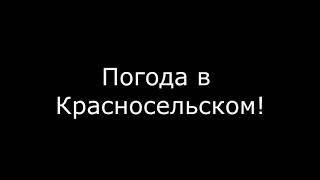 Погода в красносельском