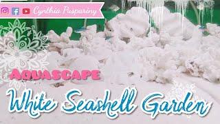 White Seashell Garden dream Aquascape