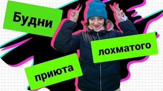 Помощь животным. Будни лохматого приюта. Возьми собаку из приюта #video