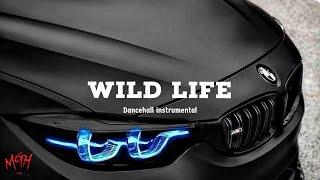 [FREE] Dancehall Riddim Instrumental 2023 (Wild Life)