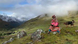 Bee The Wellness Retreat: Lares Trek Peru