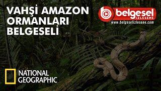 Vahşi Amazon Ormanları Belgeseli - Türkçe Dublaj