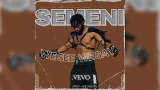 Semeni - We See, We Say (official Audio)