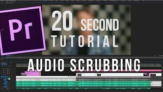 Audio Scrubbing | 20 Second Tutorial