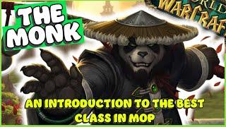 What is "The Monk" | Mists of Pandaria | WoW Classic