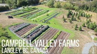 Christmas Tree Farm Turned Market Garden