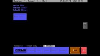 PsychDOS is a text-mode desktop for DOS