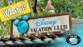 Back to Basics - What to Know About Disney Vacation Club in 2025?!