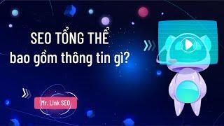 SEO tổng thể bao gồm những bước như thế nào?